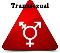transsexual